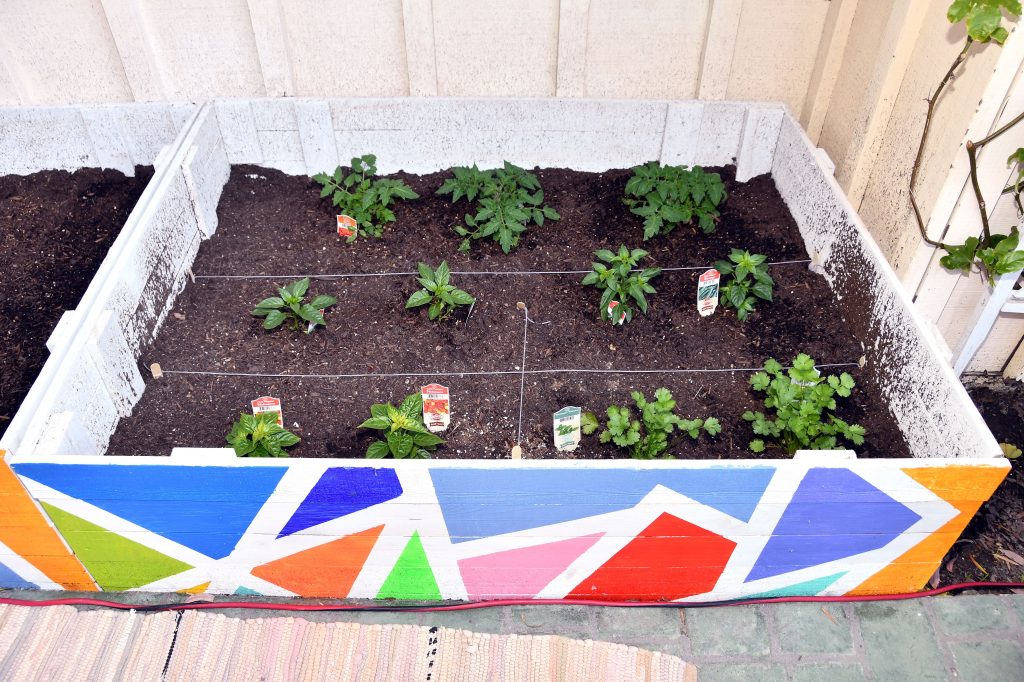 2nd Anniv Veggie Pic 5