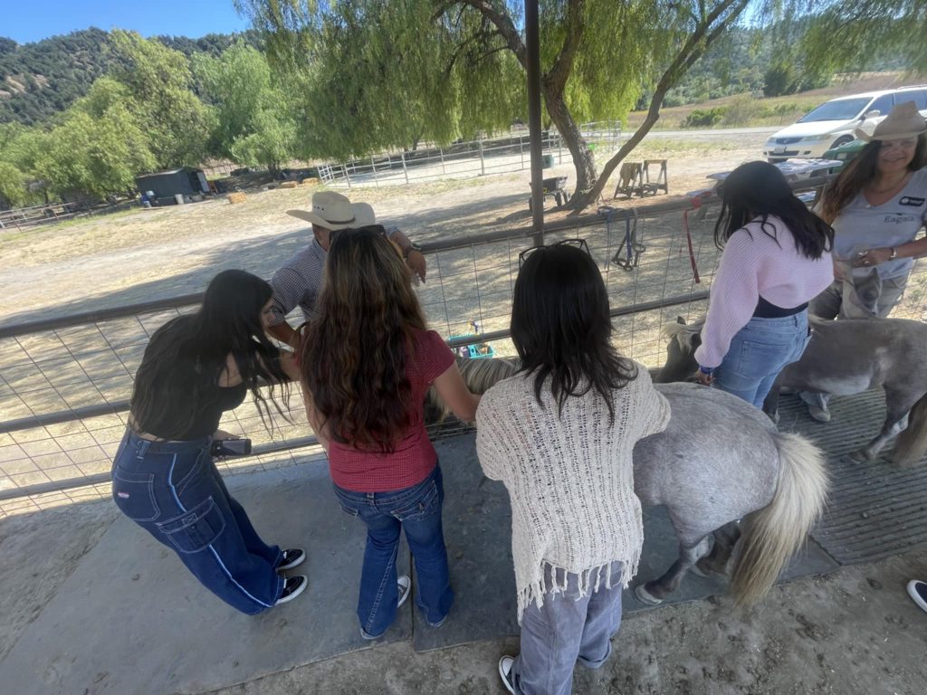 Horse Therapy (1)