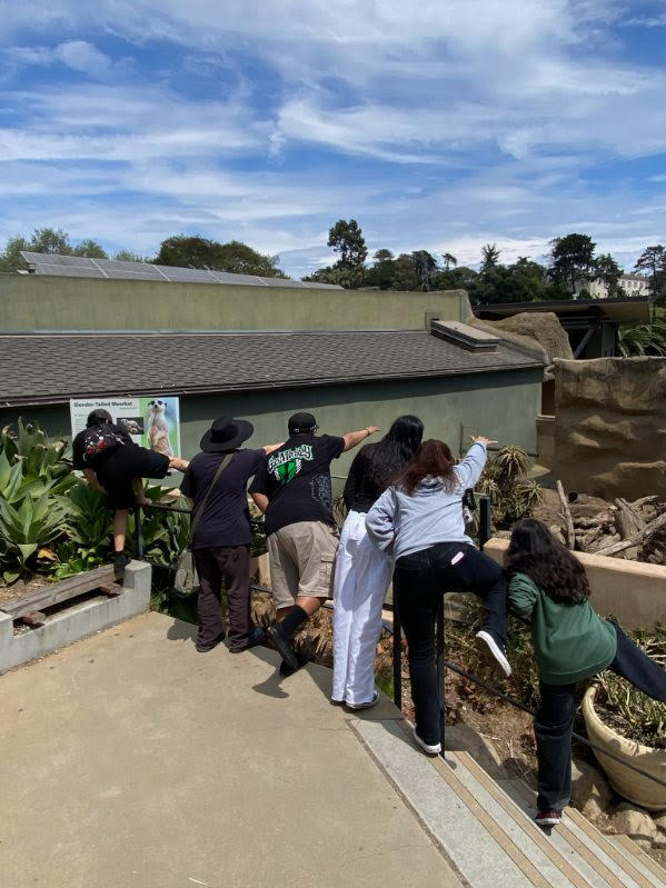Zoo IN Sb (2)