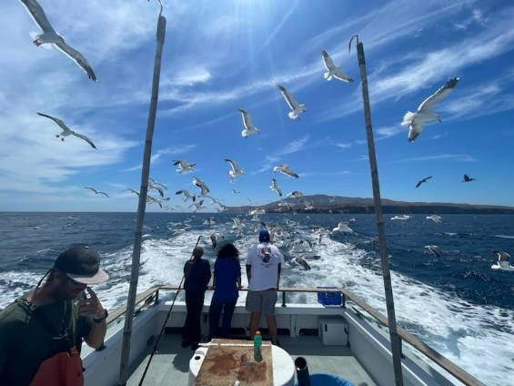 Fishing On Boat